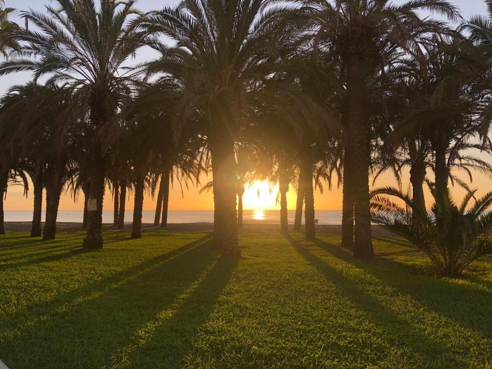 Apartamento Playamar - Torremolinos Primera Linea Playa Zewnętrze zdjęcie